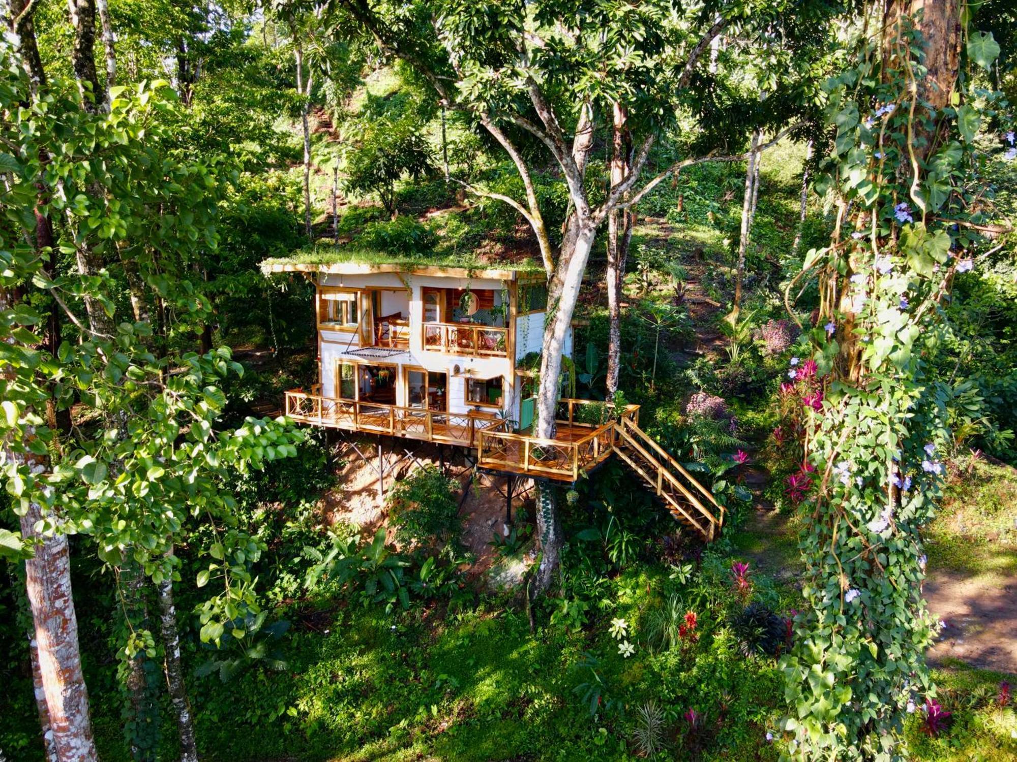 Jungle Spirit Treehouse Villa กาอุยตา ภายนอก รูปภาพ