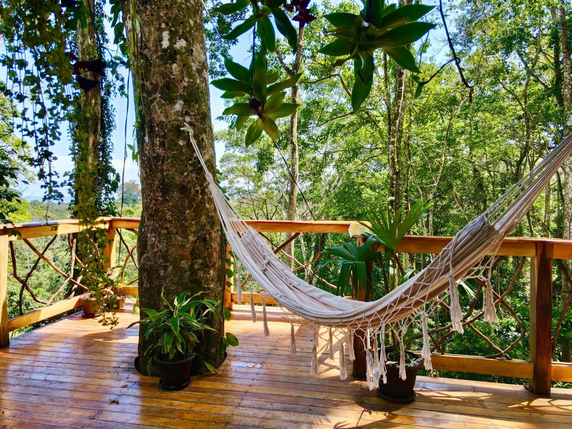 Jungle Spirit Treehouse Villa กาอุยตา ภายนอก รูปภาพ