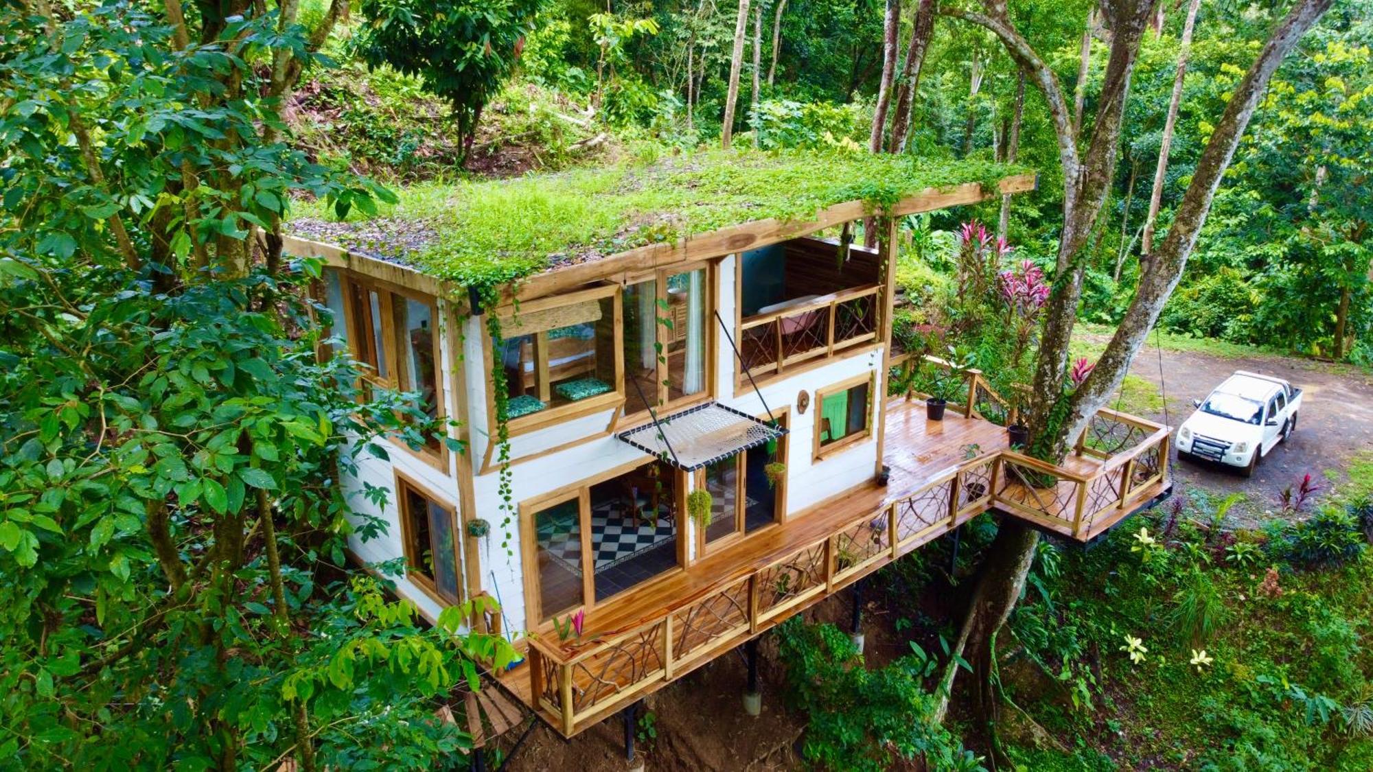 Jungle Spirit Treehouse Villa กาอุยตา ภายนอก รูปภาพ