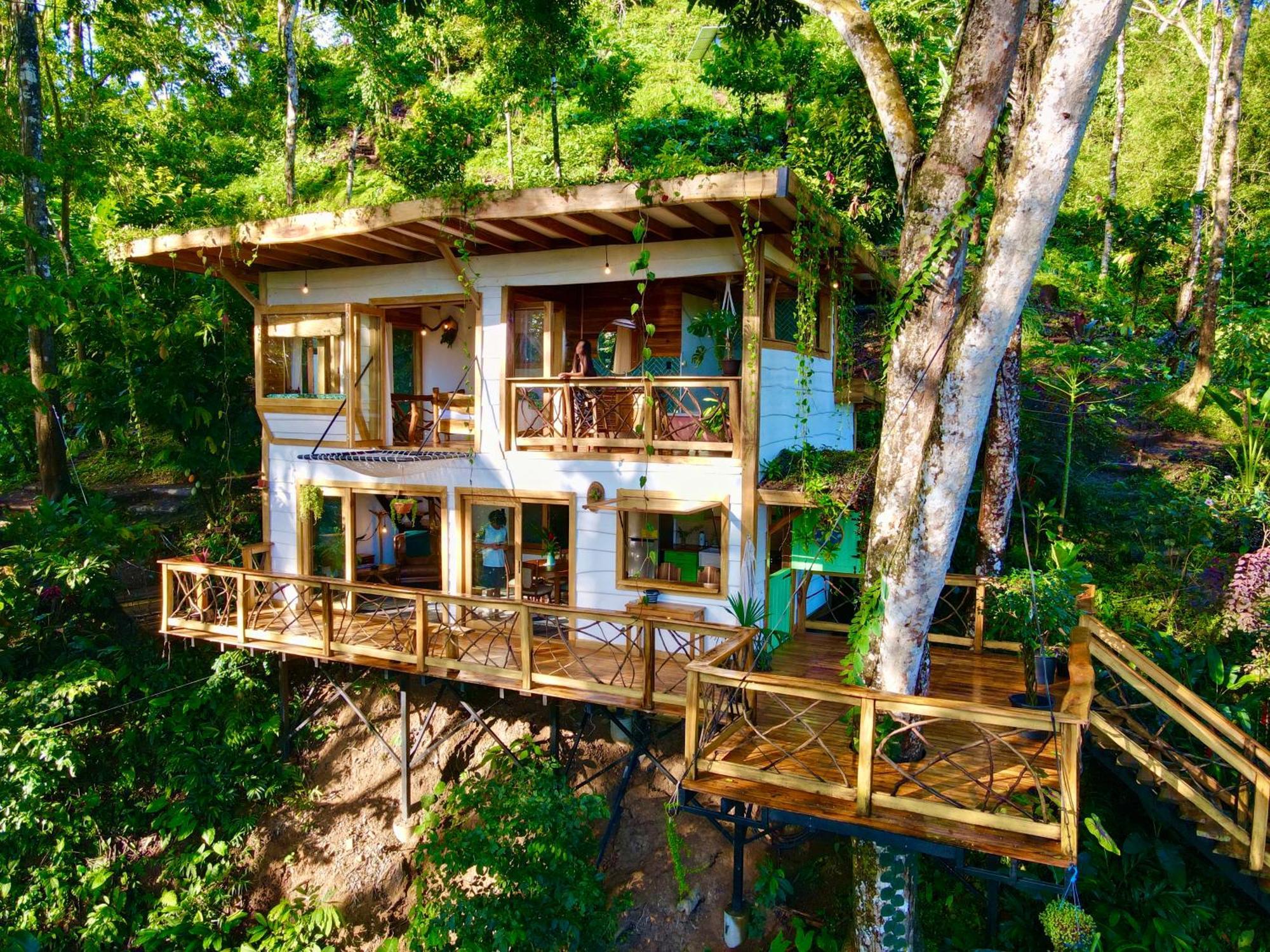 Jungle Spirit Treehouse Villa กาอุยตา ภายนอก รูปภาพ