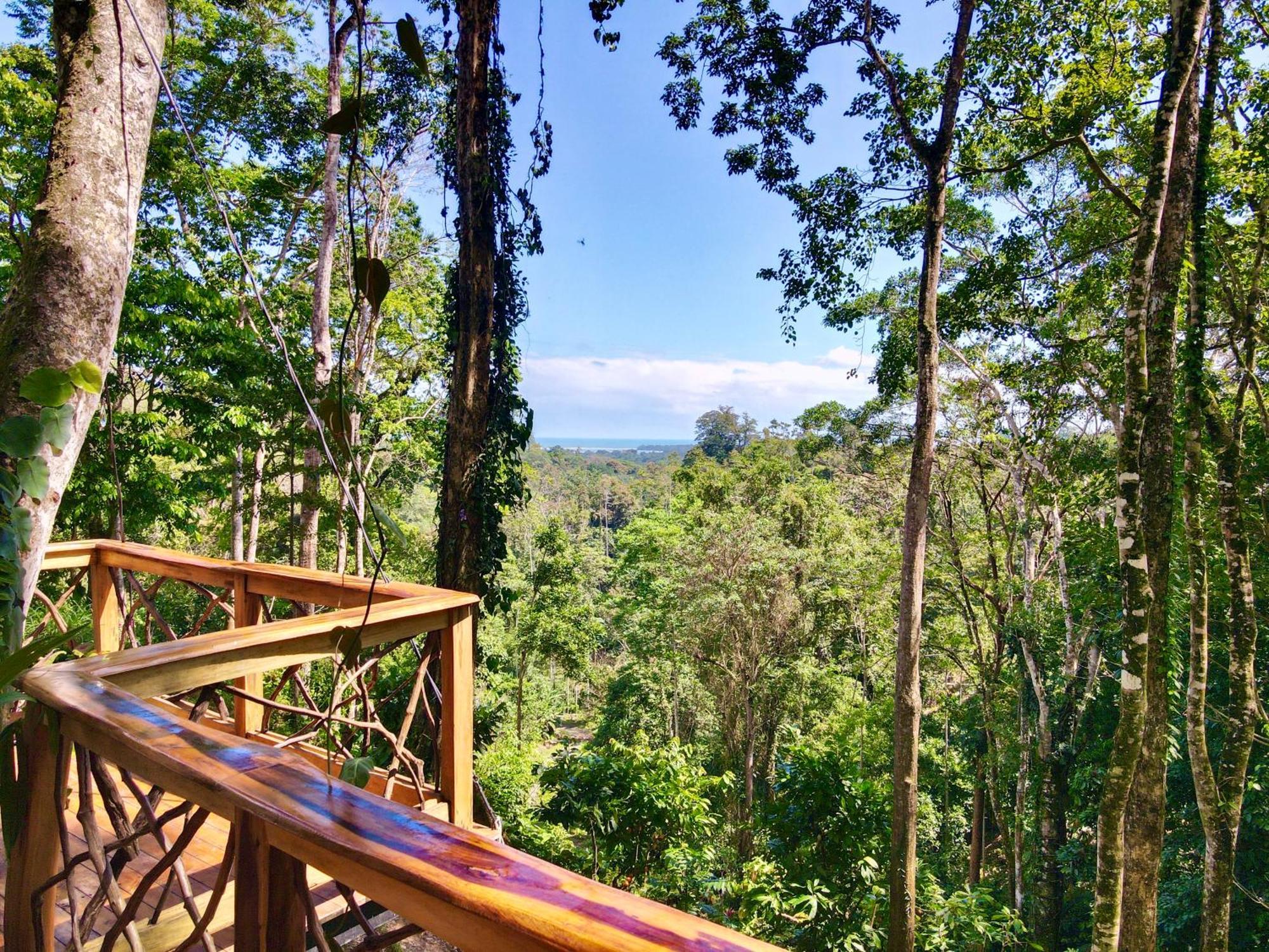Jungle Spirit Treehouse Villa กาอุยตา ภายนอก รูปภาพ