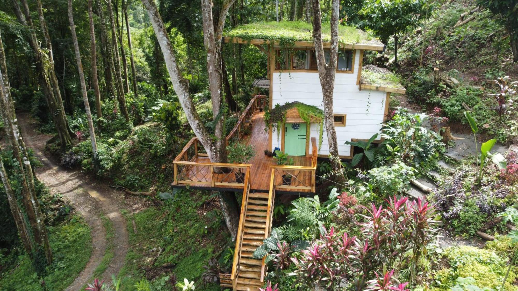Jungle Spirit Treehouse Villa กาอุยตา ภายนอก รูปภาพ
