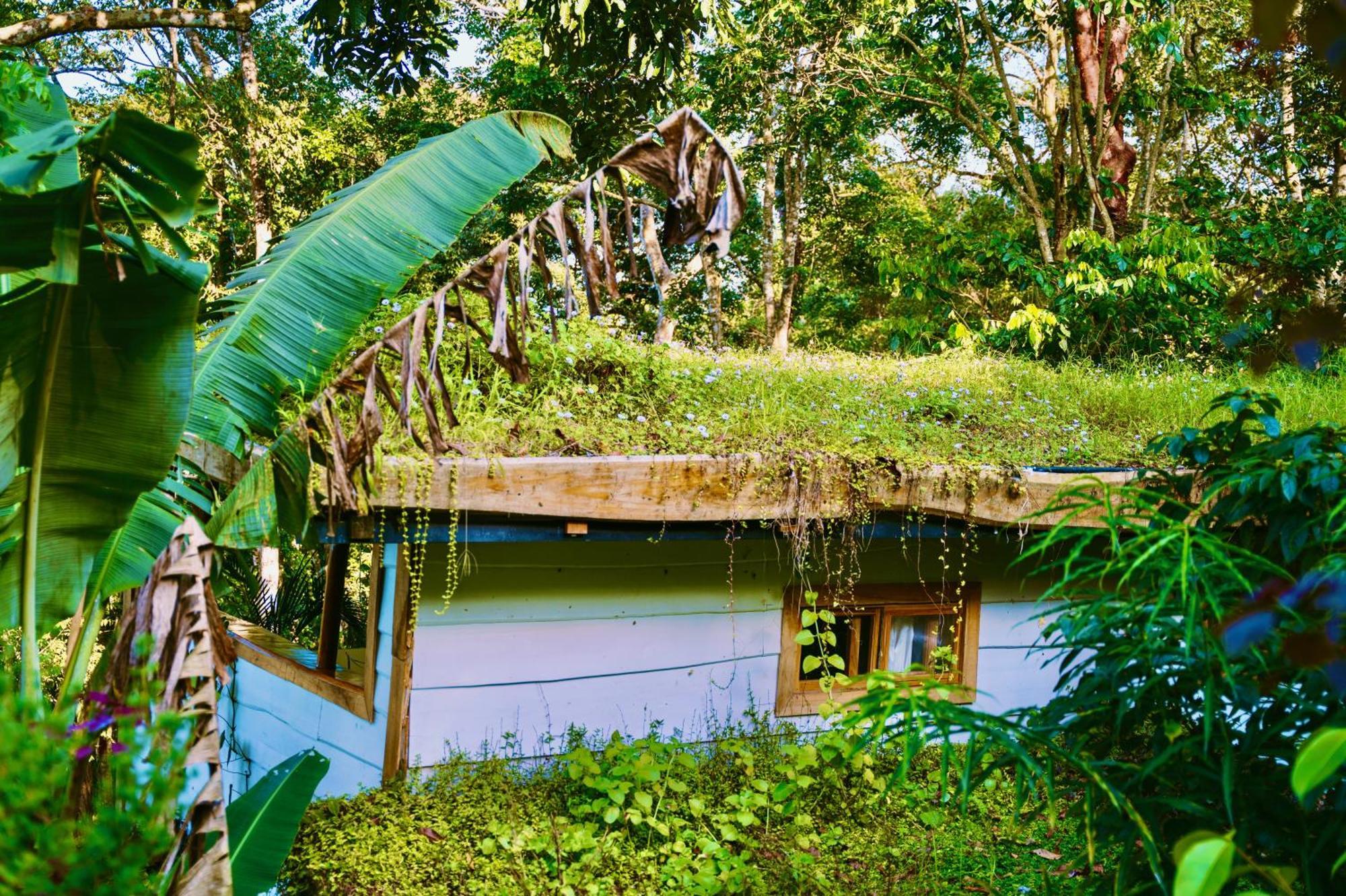 Jungle Spirit Treehouse Villa กาอุยตา ภายนอก รูปภาพ