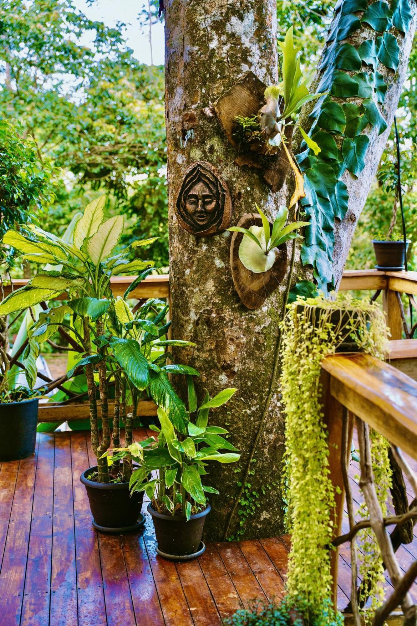 Jungle Spirit Treehouse Villa กาอุยตา ภายนอก รูปภาพ