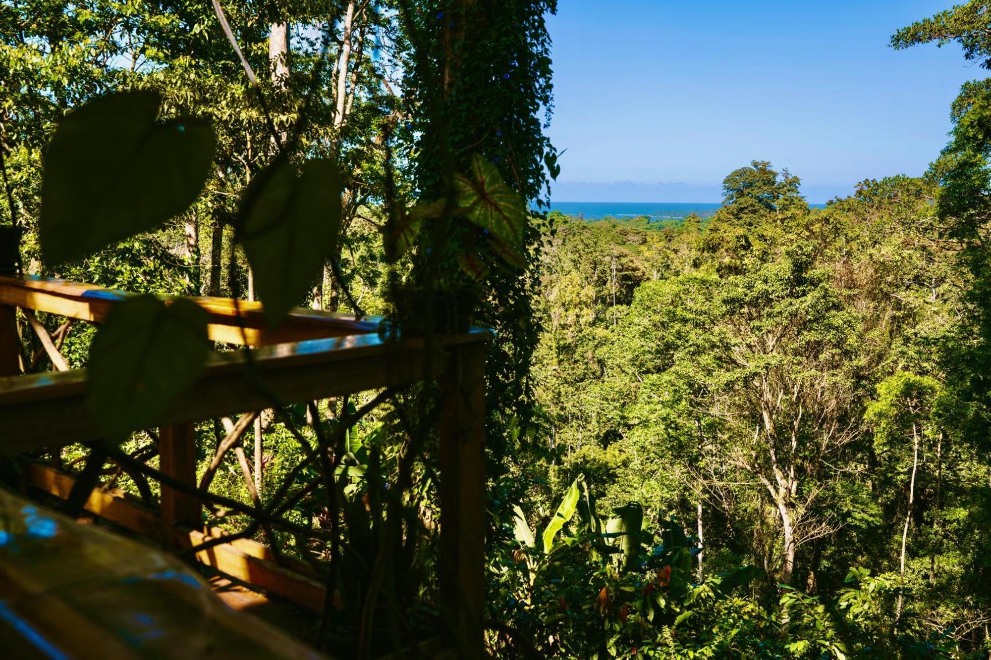 Jungle Spirit Treehouse Villa กาอุยตา ภายนอก รูปภาพ