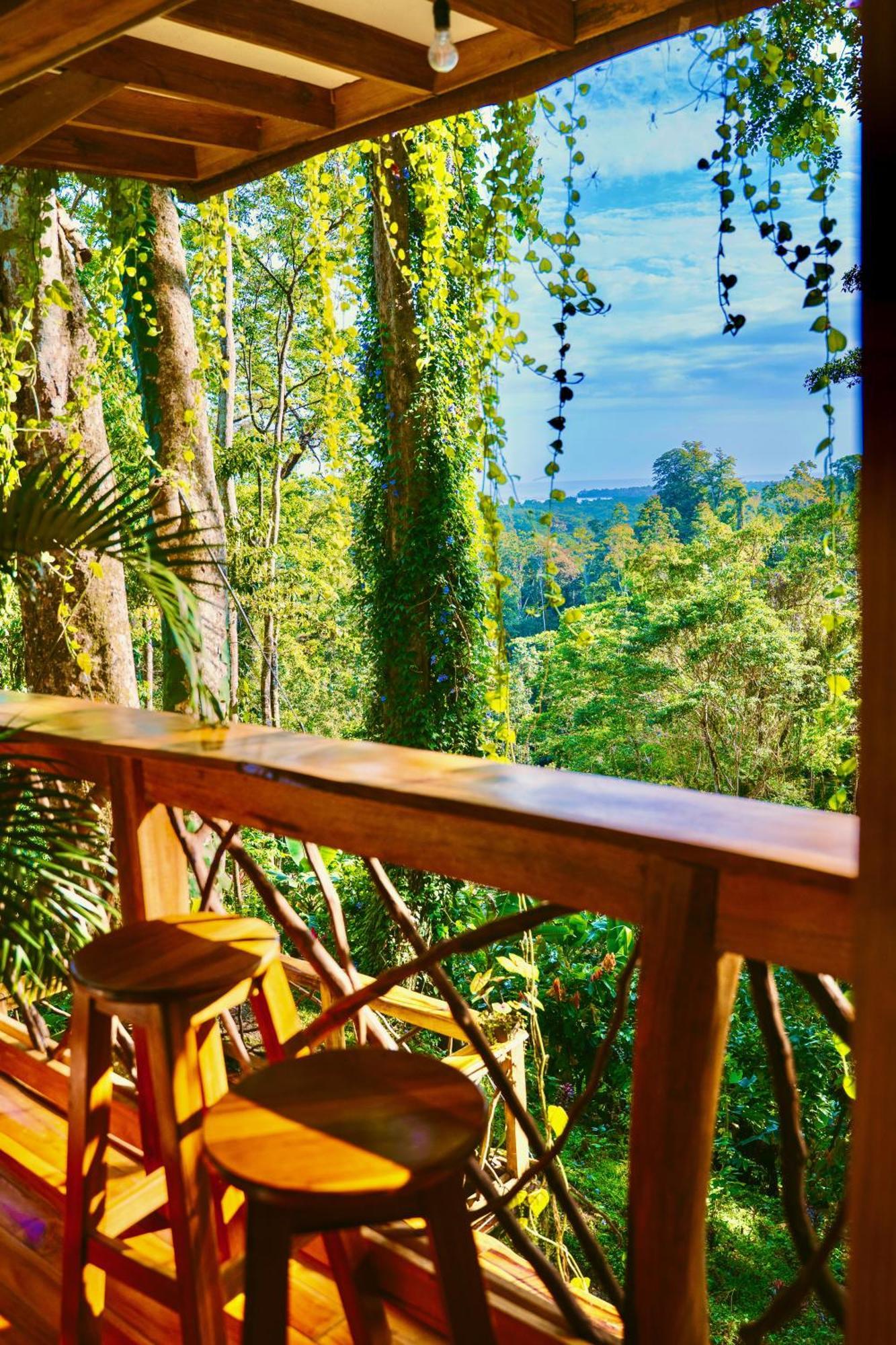 Jungle Spirit Treehouse Villa กาอุยตา ภายนอก รูปภาพ